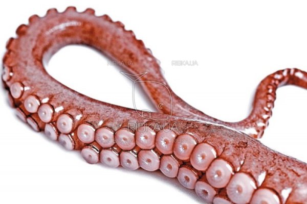 Kraken официальная ссылка