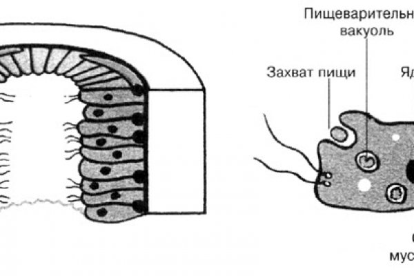 Даркмаркет кракен